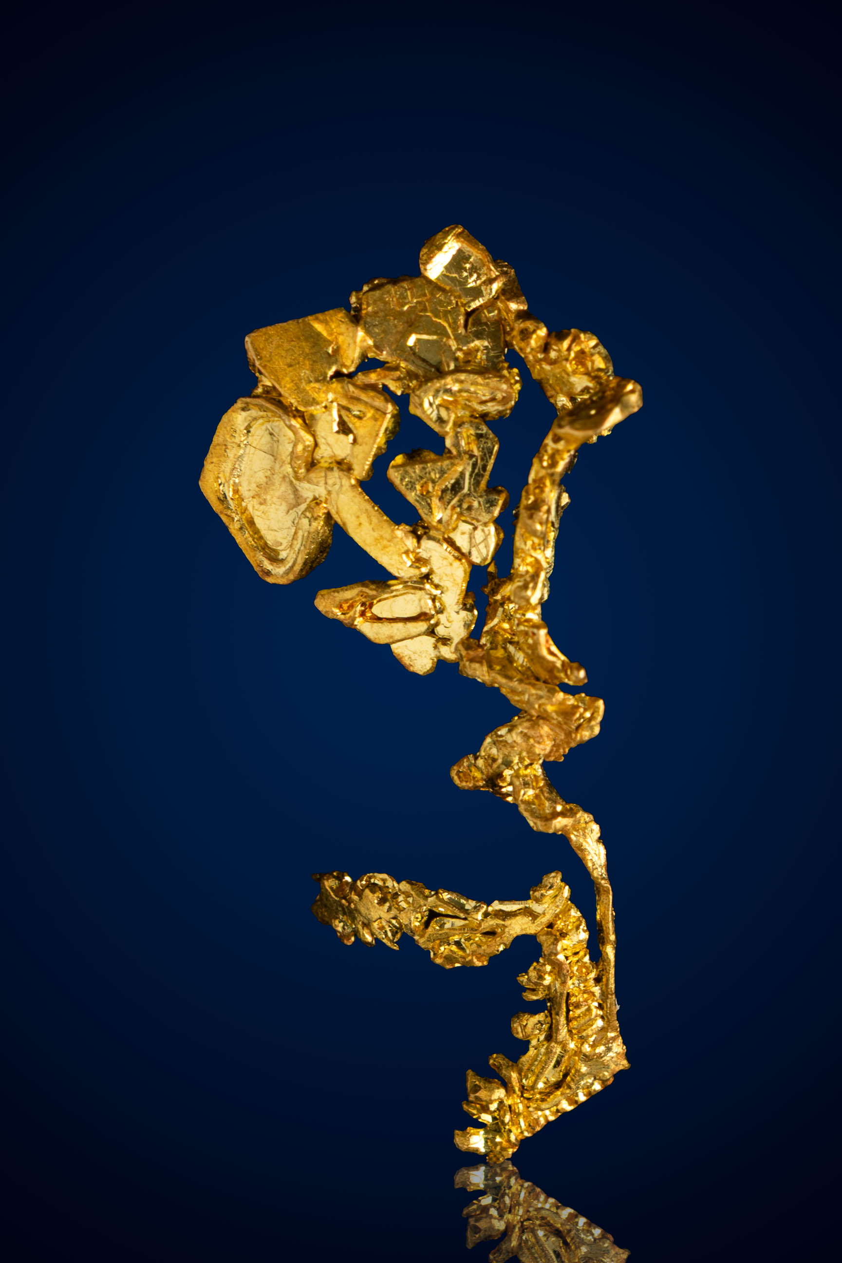 Dynamic, Architectural Natural Gold Specimen - Eagle's Nest Gold Mine, CA - 2.14 grams (image for) Dynamic, Architectural Natural Gold Specimen - Eagle's Nest Gold Mine, CA - 2.14 grams